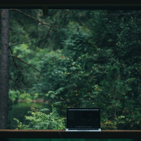 Алтай, лес, ноутбук